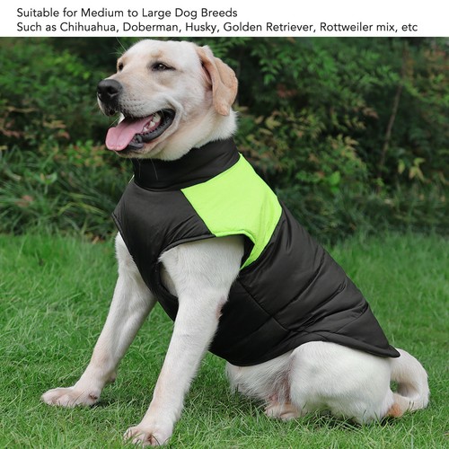 Gilet chaud pour chien - chaud,