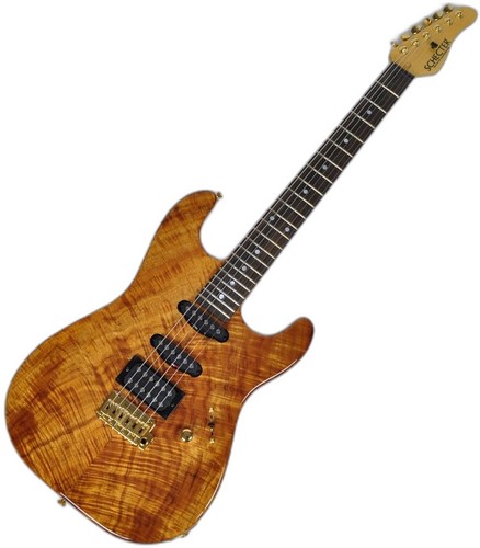 Schecter california custom - schecter,