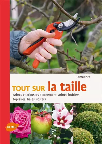 Tout sur taille arbres - sur, taille.