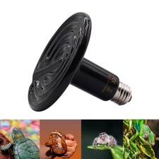 200 W / 250 W Lézards