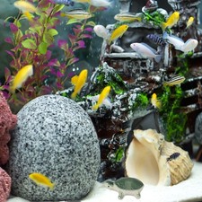  2 Pcs Tortue Aquatique Statue