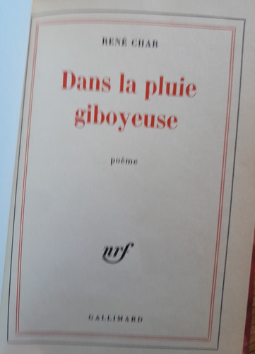 René char dans pluie - renÉ,