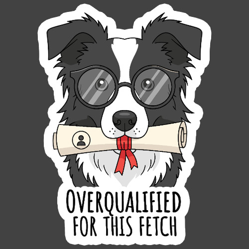 Border collie sticker vinyl - border,