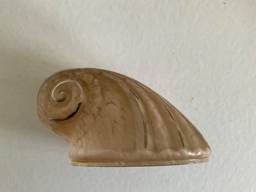 Rare tulipe forme coquillage - rare,