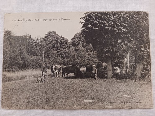 Juvisy sur barley - sur, terrace