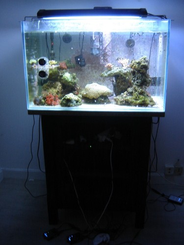 Aquarium eau mer 200 - mer, ,
