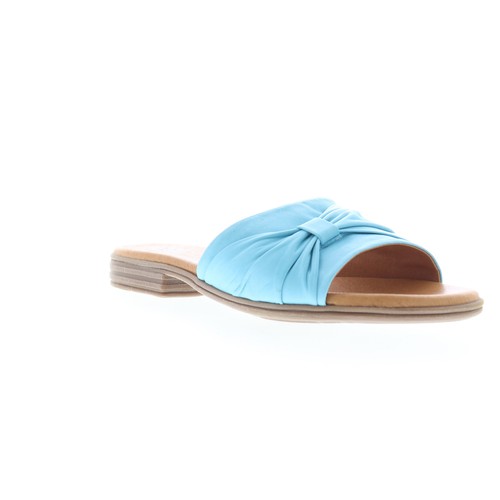 Miz mooz daisey non - mooz,