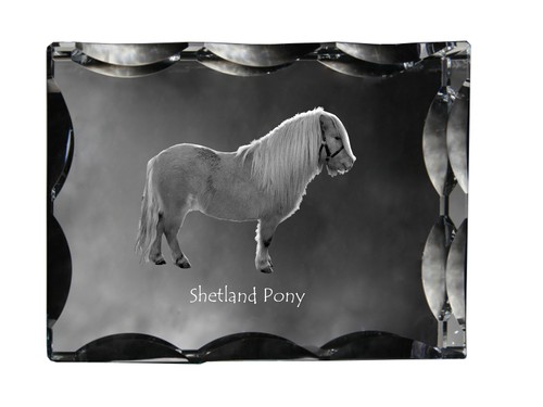 Poney shetland crystal - -,