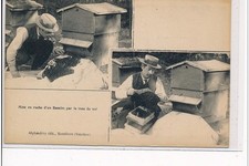 MONTFAVET - BEEKEEPING - APIARY - Hollowing a swarm through the v-hole