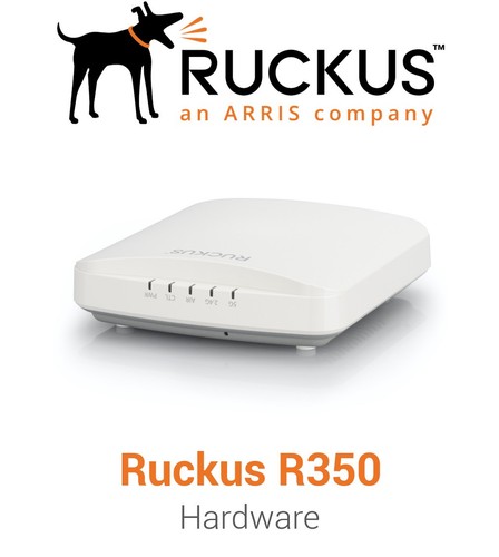 Borne wifi ruckus r350 - borne,