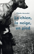 Le chien, la neige, un pied -