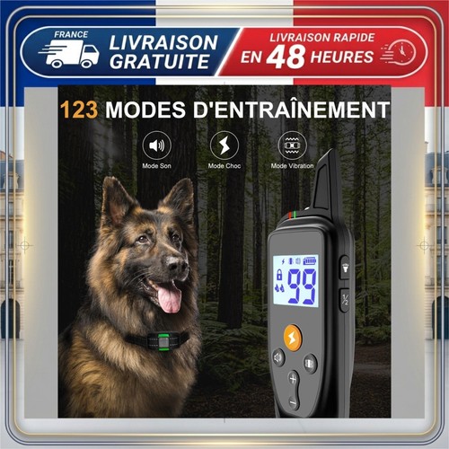 Collier dressage chien - dressage,
