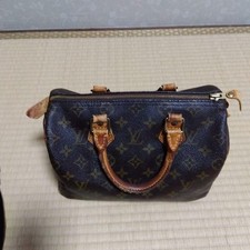 Louis Vuitton Monogram Handbag 5a