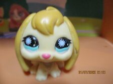 Petshop Rabbit Aries #864