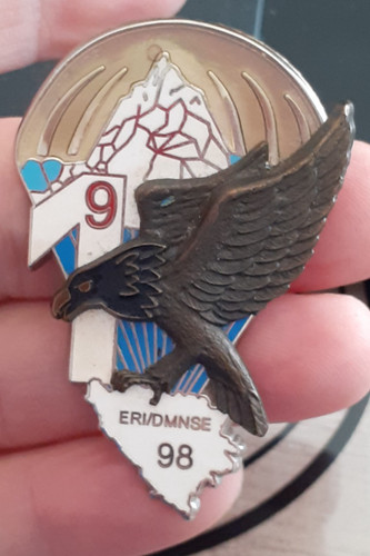 Insigne rcp 1 - 9,