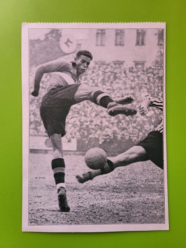 Carte franz bimbo - franz, binder