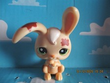 PETSHOP LAPIN DE GARENNE