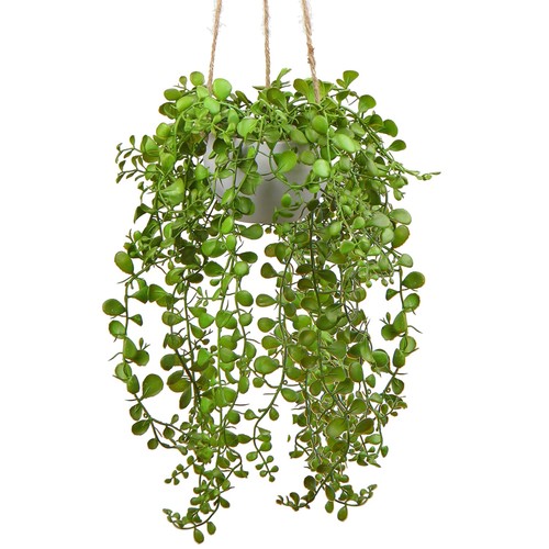 Plantes artificielles ficus - plantes,
