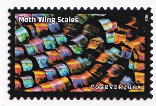 Stamp scott 5802l life - stamp, us