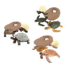 Cycle de vie des étapes