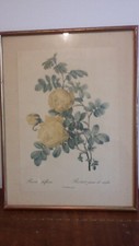 ANCIENNE GRAVURE ENCADREE