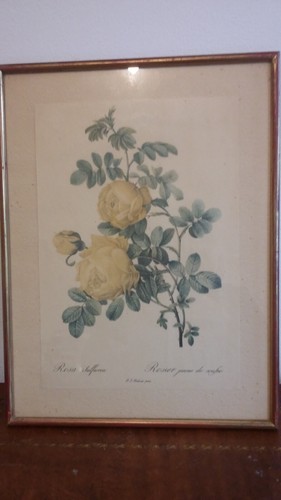 Ancienne gravure encadree - gravure,