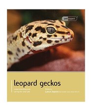 Leopard Gecko, Lance Jepson