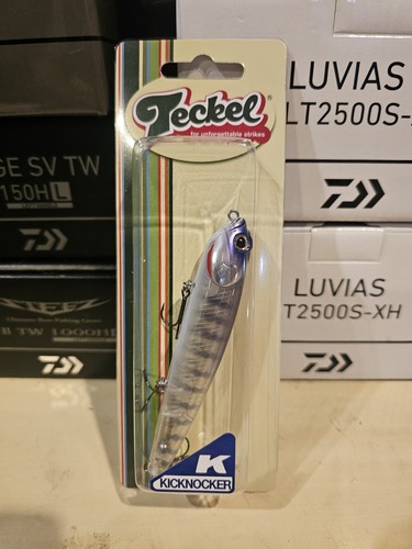 Teckel kicknocker pup hut08 - kicknocker,