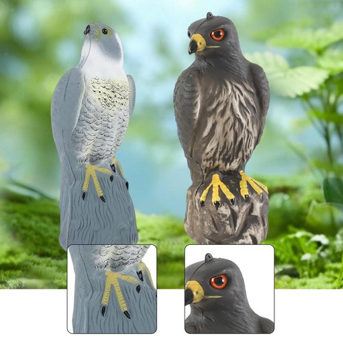 Ornement aigle jardin - d'aigle,