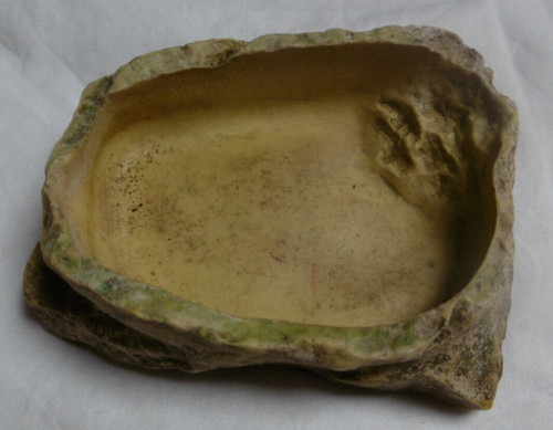 Abreuvoir pour terrarium - pour, ou