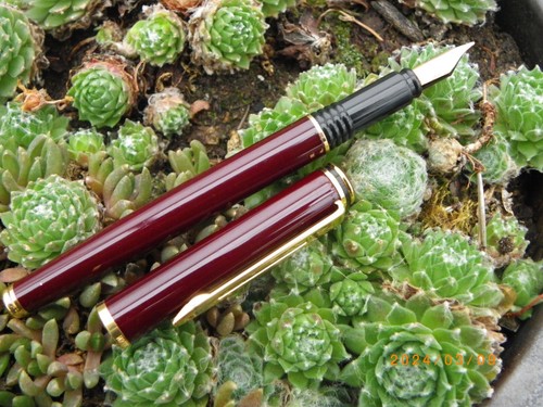 Stylo plume waterman - stylo,