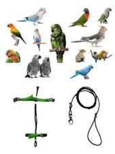 Harnais Pour Perruches