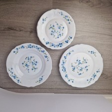 Vintage Arcopal Plates – Veronica Blue Pattern – 1970s/80s