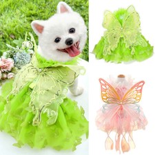 Robe Papillon Pour Chien Chat