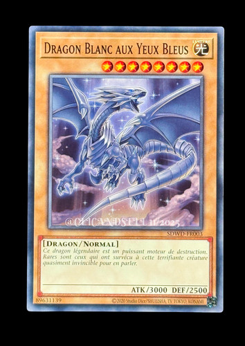 Carte sdwd fr003 - yu-gi-oh, sdwd-fr003