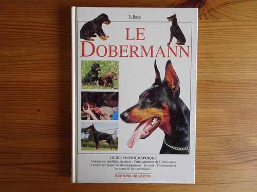 Doberman rossi 2003 - rossi,,