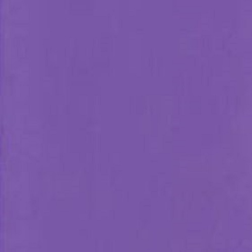100 violet profond lisse - x, a4