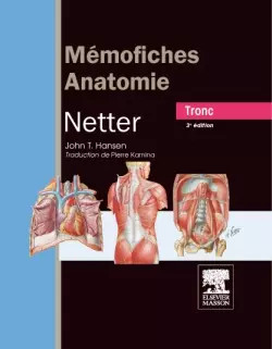 Mémofiches anatomie netter - mémofiches,