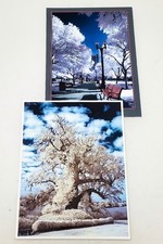 CANON INFRAROUGE EOS 20 D