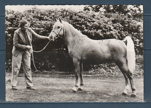 Cpsm vers 1960 - vers,