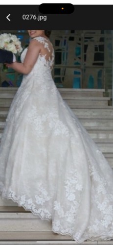 Robe mariée pronovias - mariée,