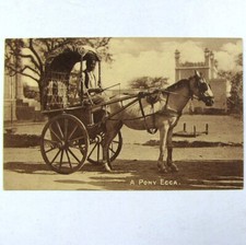 cpa Inde A pony Ecca c1915