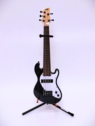 Kala bass fretless 5 - fretless, 5-string