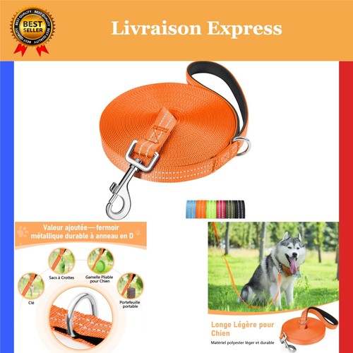 Muselière pour chien