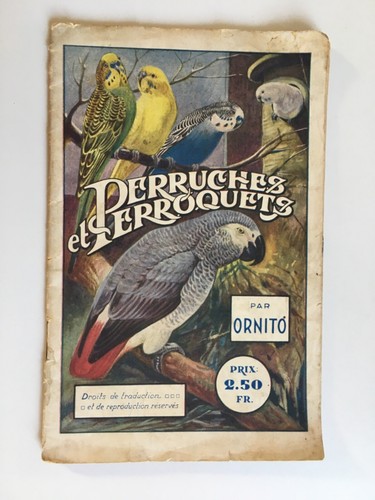 Les perruches perroquets - les,