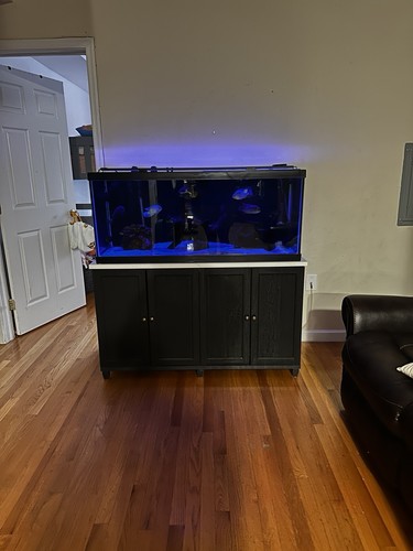 Complete gallon aquarium - complete,