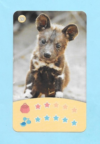 Carte lycaon chiot - -, /