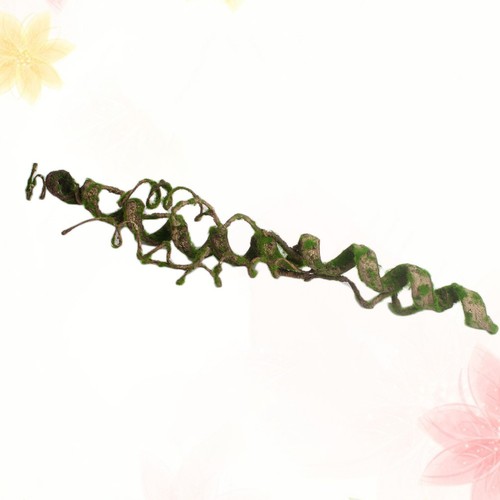 Accessoires pour terrarium - accessoires,