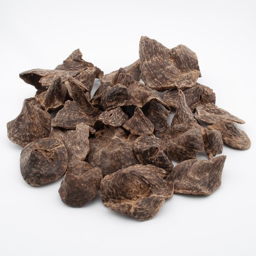 Bois agar char - char, sauvage