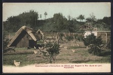 CPA Nogent-le-Roi, Établissement d´Aviculture de Néron, Poulaillers 